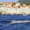 10km_W_Dubrovnik_1074