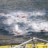 10km_W_Final_Rush_1341