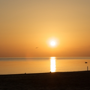 Riccione mar-2009