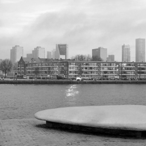 Rotterdam gen-2010