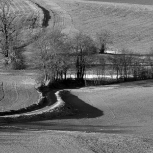 Bianco e nero
